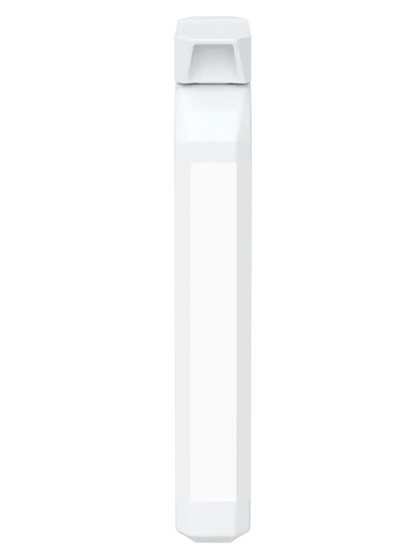 BioBrain - Natural Nootropics Supplement