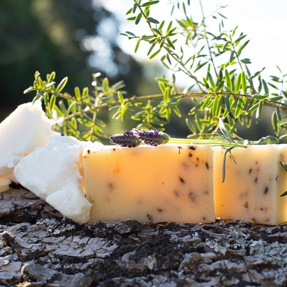 "Healing Me Softly" - Healing Body Bar